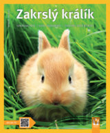 Zakrslý králík