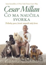 Čo ma naučila svorka