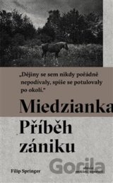 Miedzianka