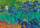 Vincent Van Gogh - Irises, 1889