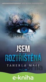 Jsem roztříštěná