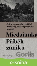 Miedzianka