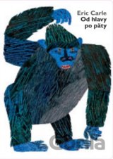 Od hlavy po päty
