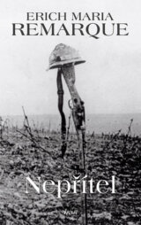 Nepřítel