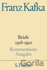 Briefe 1918-1920