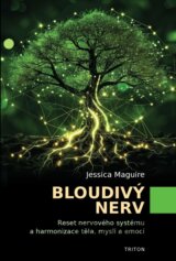 Bloudivý nerv