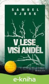 V lese visí anděl