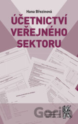 Účetnictví veřejného sektoru