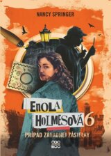 Enola Holmesová: Prípad záhadnej zásielky
