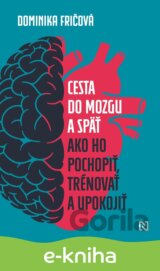 Cesta do mozgu a späť