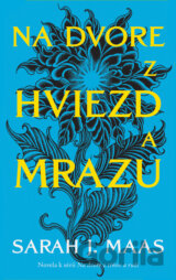 Na dvore z hviezd a mrazu