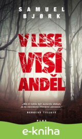 V lese visí anděl