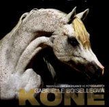 Koně