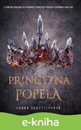Princezna popela