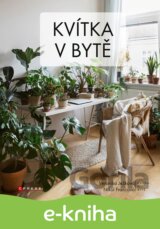 Kvítka v bytě