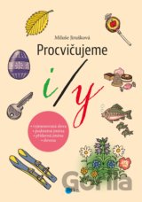 Procvičujeme i/y