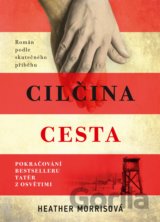 Cilčina cesta