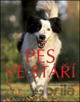 Pes ve stáří