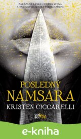 Posledný Namsara