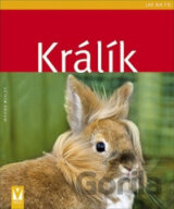 Králík