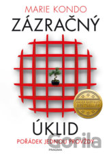 Zázračný úklid