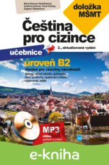 Čeština pro cizince B2 s doložkou MŠMT