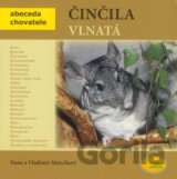 Činčila vlnatá