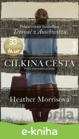 Cilkina cesta
