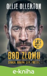 Bod zlomu