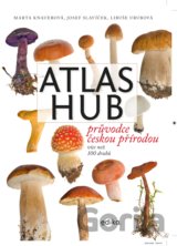 Atlas hub