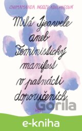 Milá Ijeawele aneb Feministický manifest v patnácti doporučeních