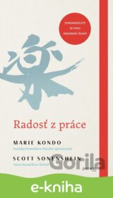 Radosť z práce