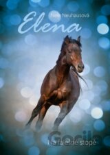 Elena: Na falešné stopě