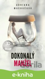 Dokonalý manžel