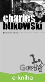 O kočkách