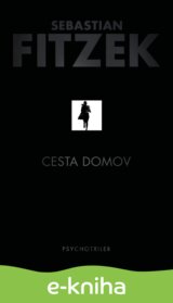 Cesta domov