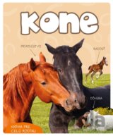 Kone