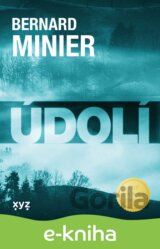 Údolí