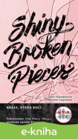 Shiny Broken Pieces (český jazyk)