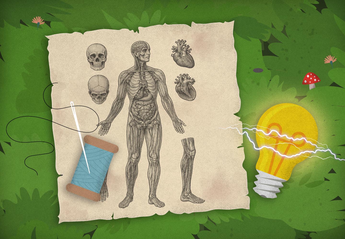 Zlý vlk v lese objeví jehlu na šití s nití, starý sešit s nákresem lidského těla a žárovku s elektrickým výbojem.