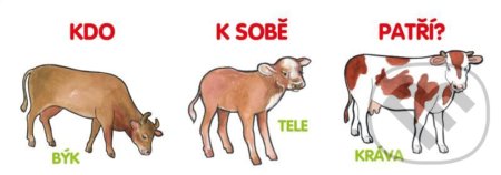 Kniha: Kdo k sobě patří? (Akcent). Akcent, 2021 Kniha: Kdo k sobě patří? (Akcent). Akcent, 2021