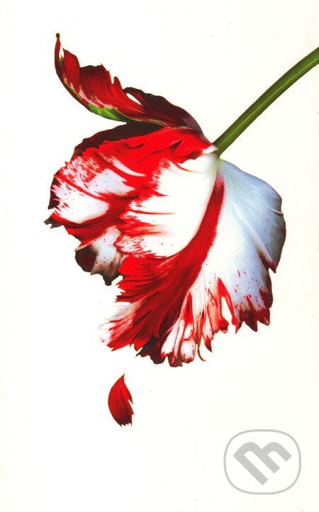 Kniha: New Moon (v bielom) (Stephenie Meyer). Atom, 2010 Kniha: New Moon (v bielom) (Stephenie Meyer). Atom, 2010