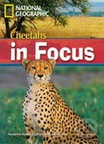 Cheetahs in Focus, Heinle Cengage Learning