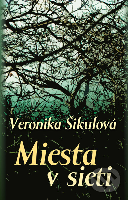 Kniha: Miesta v sieti (Veronika Šikulová), 2011 Kniha: Miesta v sieti (Veronika Šikulová), 2011
