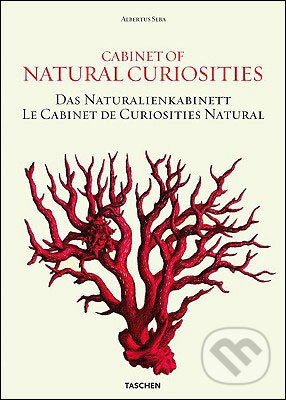 Albertus Seba - Cabinet of Natural Curiosities - Irmgard Müsch, Jes Rust, Rainer Willmann, Taschen