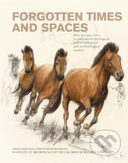 E-kniha: Forgotten Times and Spaces (Alena Mizerová). Muni Press, 2015 E-kniha: Forgotten Times and Spaces (Alena Mizerová). Muni Press, 2015
