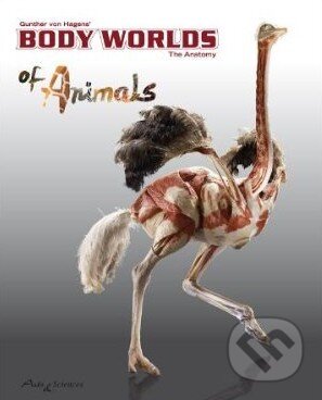 Body Worlds - Gunther von Hagens, Body Worlds, 2011