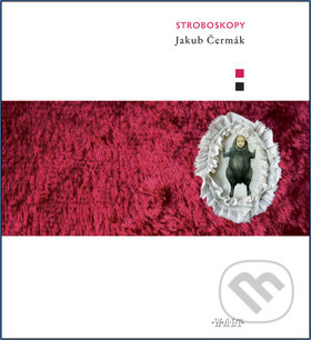 Kniha: Stroboskopy (Jakub Čermák). Kniha Zlín, 2011 Kniha: Stroboskopy (Jakub Čermák). Kniha Zlín, 2011