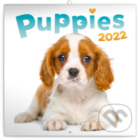 Poznámkový kalendár Puppies 2022, Presco Group, 2021