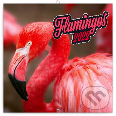 Poznámkový kalendár Flamingos 2022, Presco Group, 2021